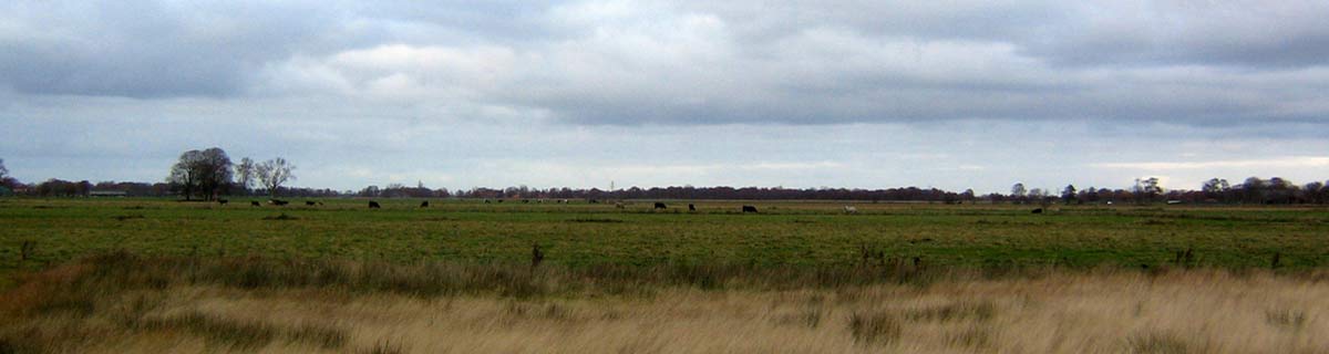 Ambience, 5 Sterne Fewo, Großefehn,Ostfriesland